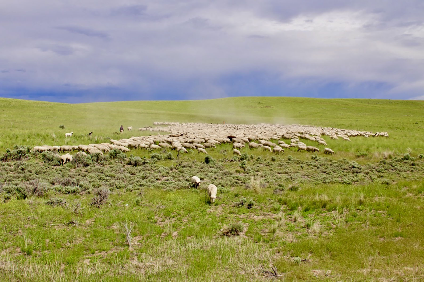 Lava Lake Ranch For Sale Idaho Hall and Hall