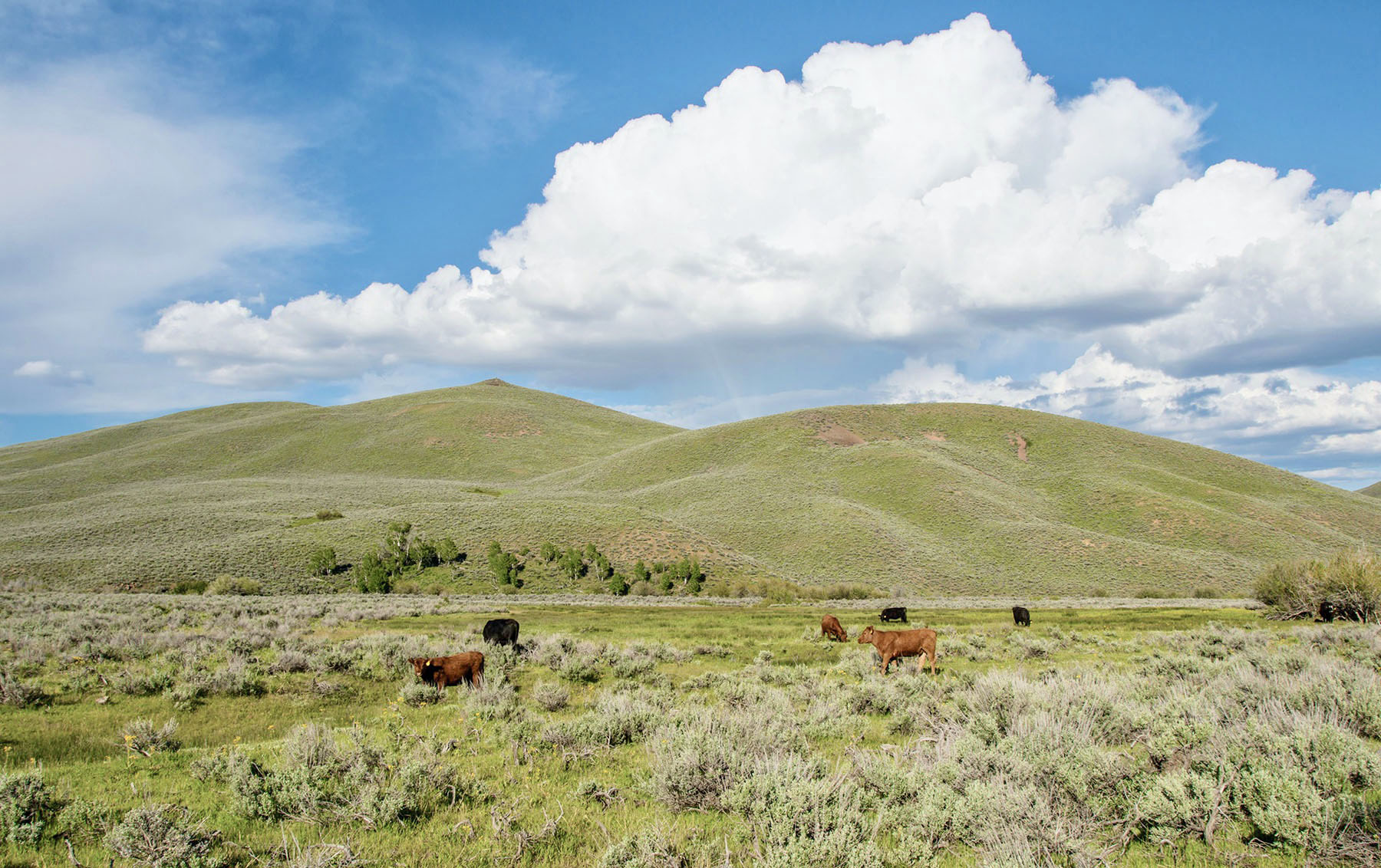 Lava Lake Ranch For Sale Idaho Hall and Hall