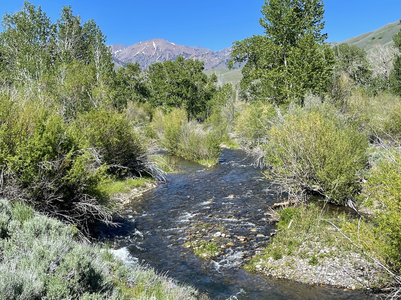 Lava Lake Ranch property picture 22 of 135