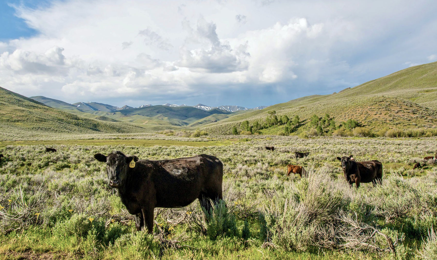 Lava Lake Ranch property picture 28 of 135