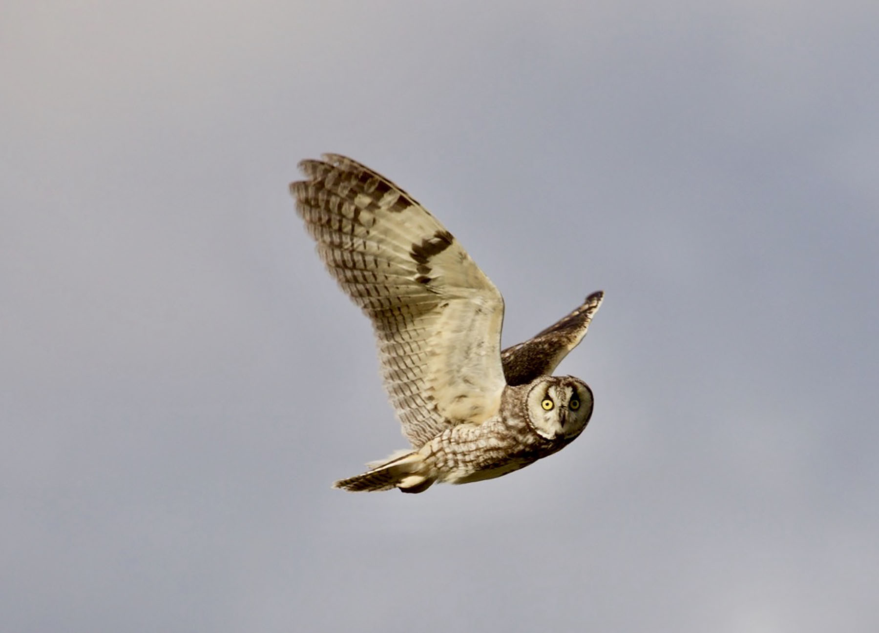 Lava Lake Ranch property picture 46 of 135