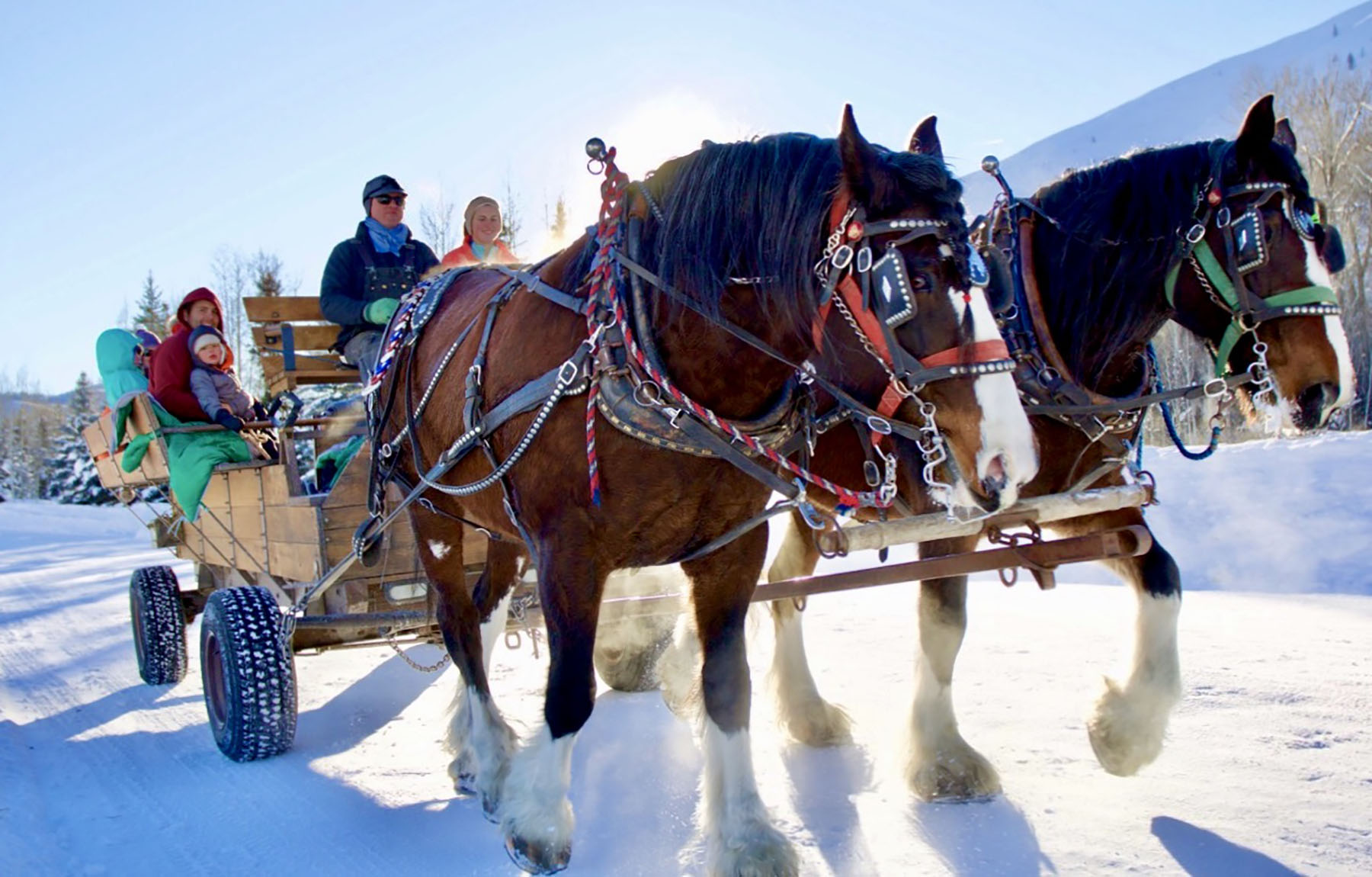 Lava Lake Ranch property picture 73 of 135