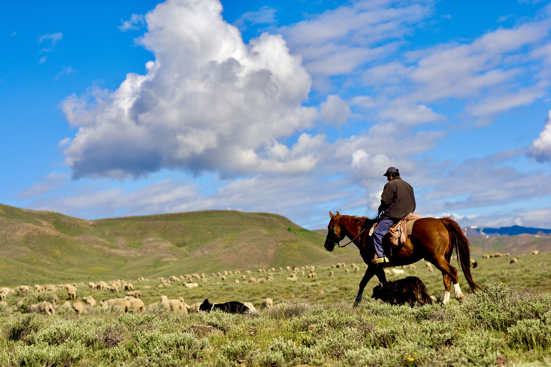 Lava Lake Ranch property picture 67 of 135