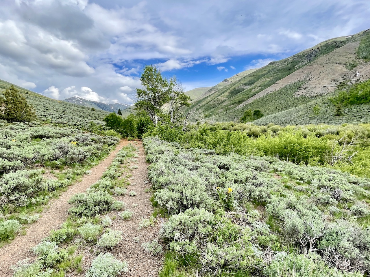 Lava Lake Ranch property picture 130 of 135