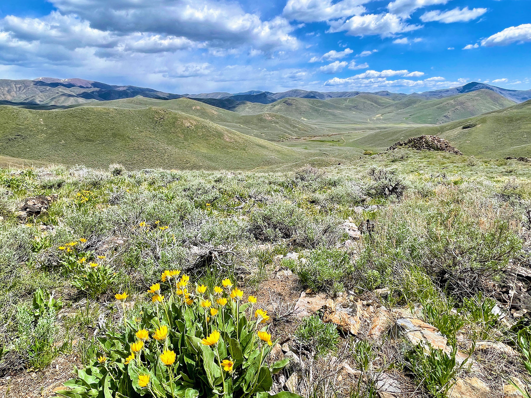 Lava Lake Ranch property picture 95 of 135