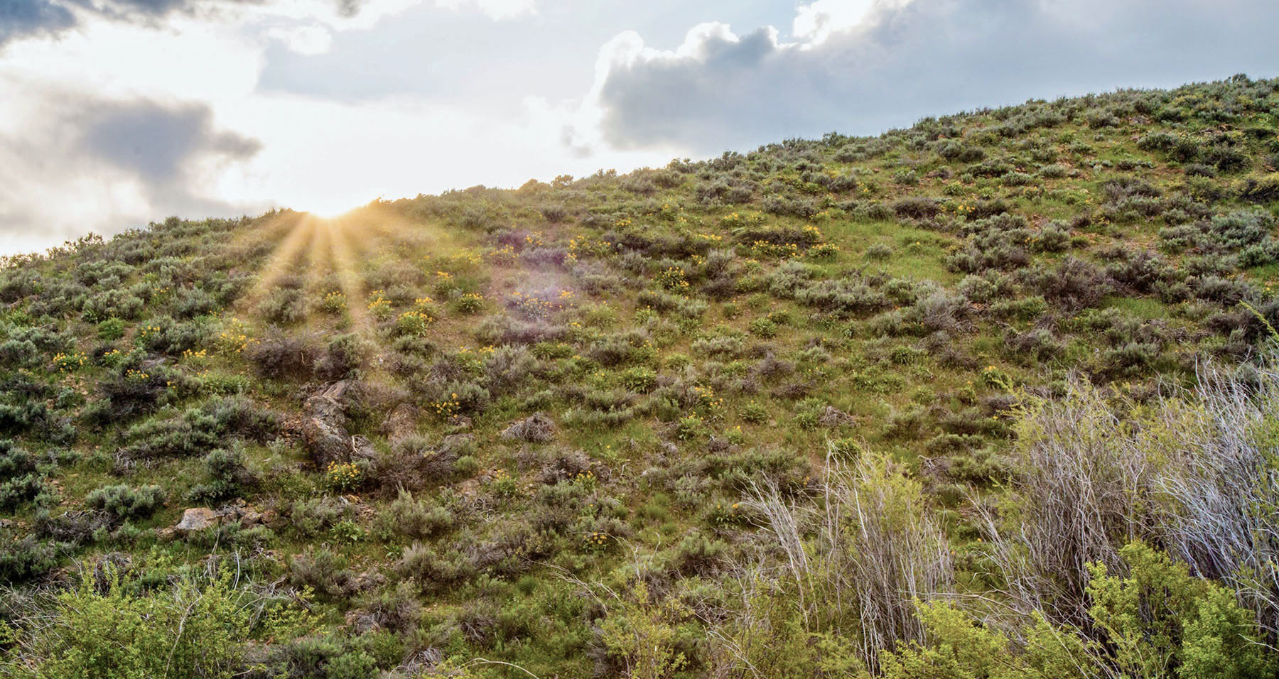 Lava Lake Ranch property picture 101 of 135