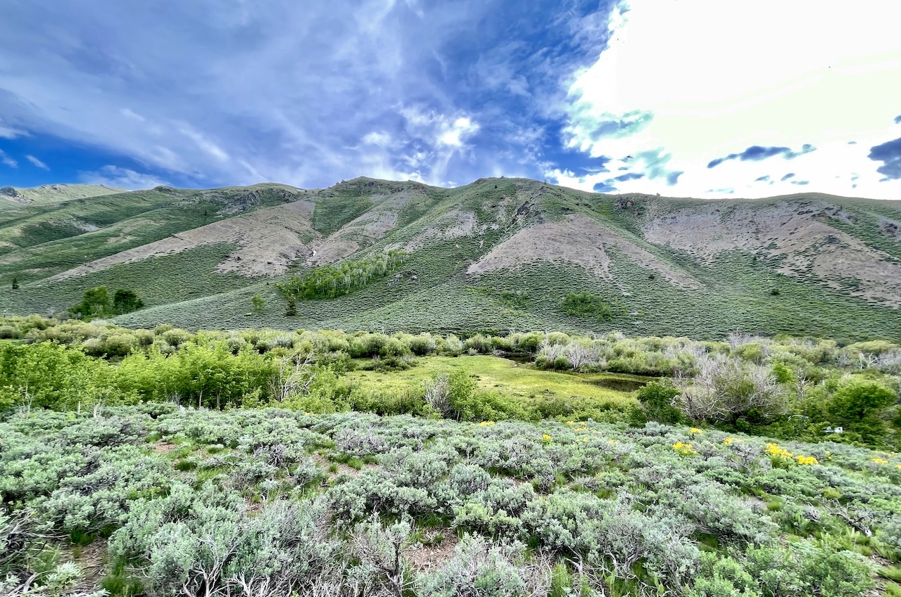 Lava Lake Ranch property picture 131 of 135