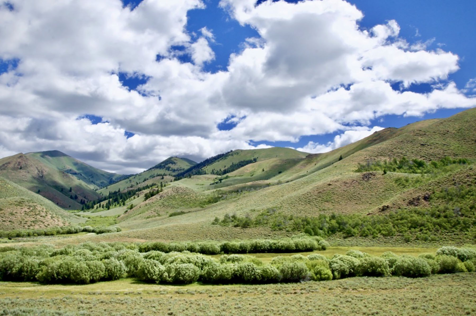 Lava Lake Ranch property picture 5 of 135