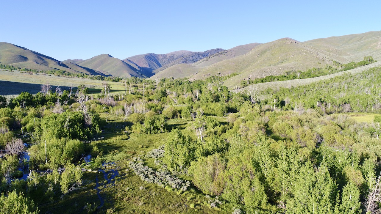 Lava Lake Ranch property picture 106 of 135