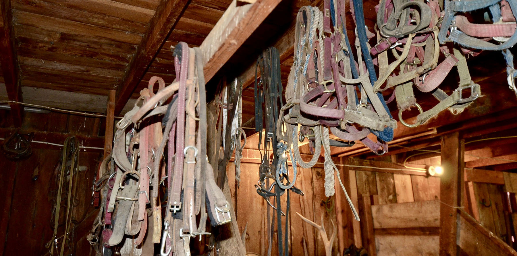 Lava Lake Ranch property picture 32 of 135