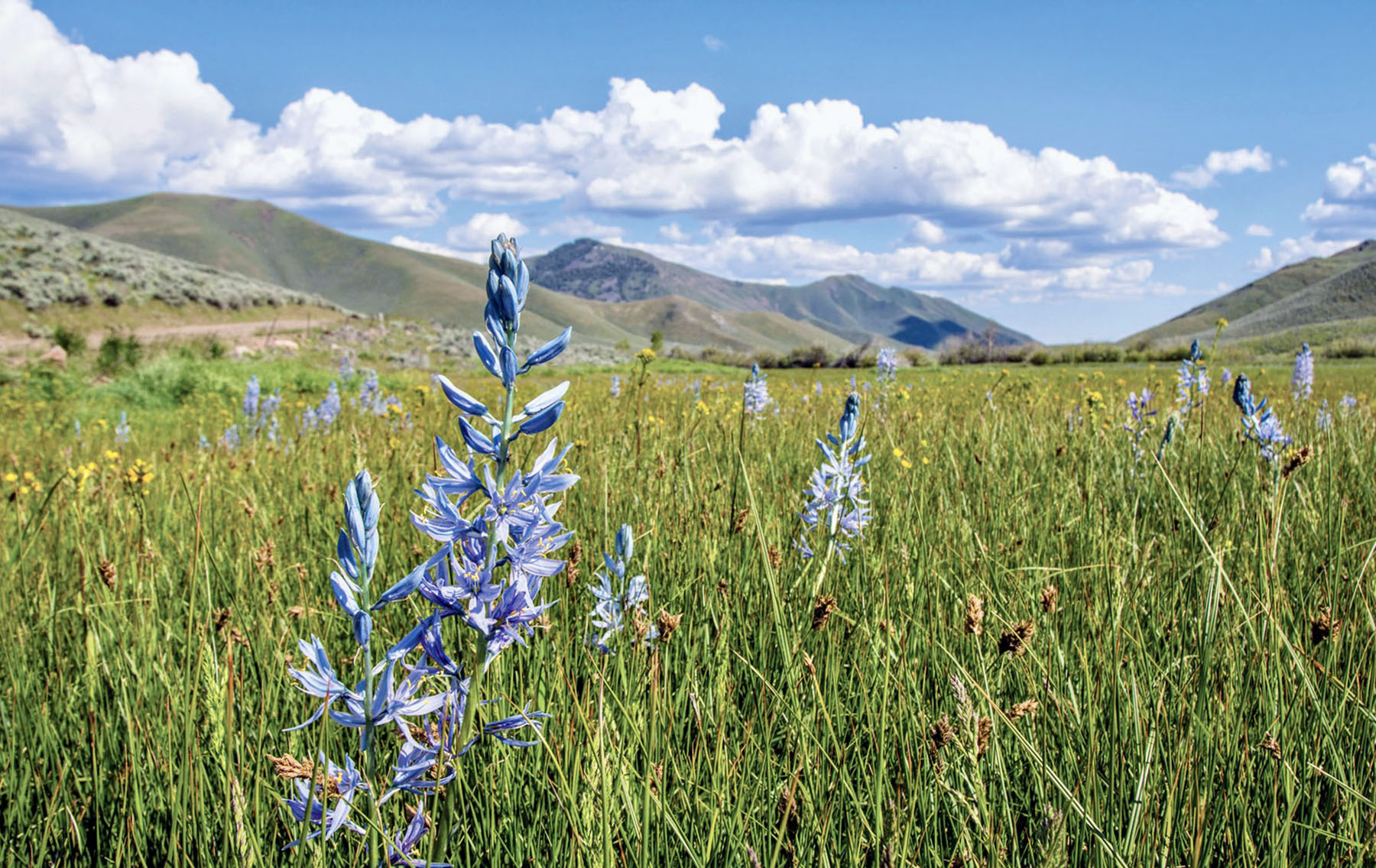 Lava Lake Ranch property picture 53 of 135
