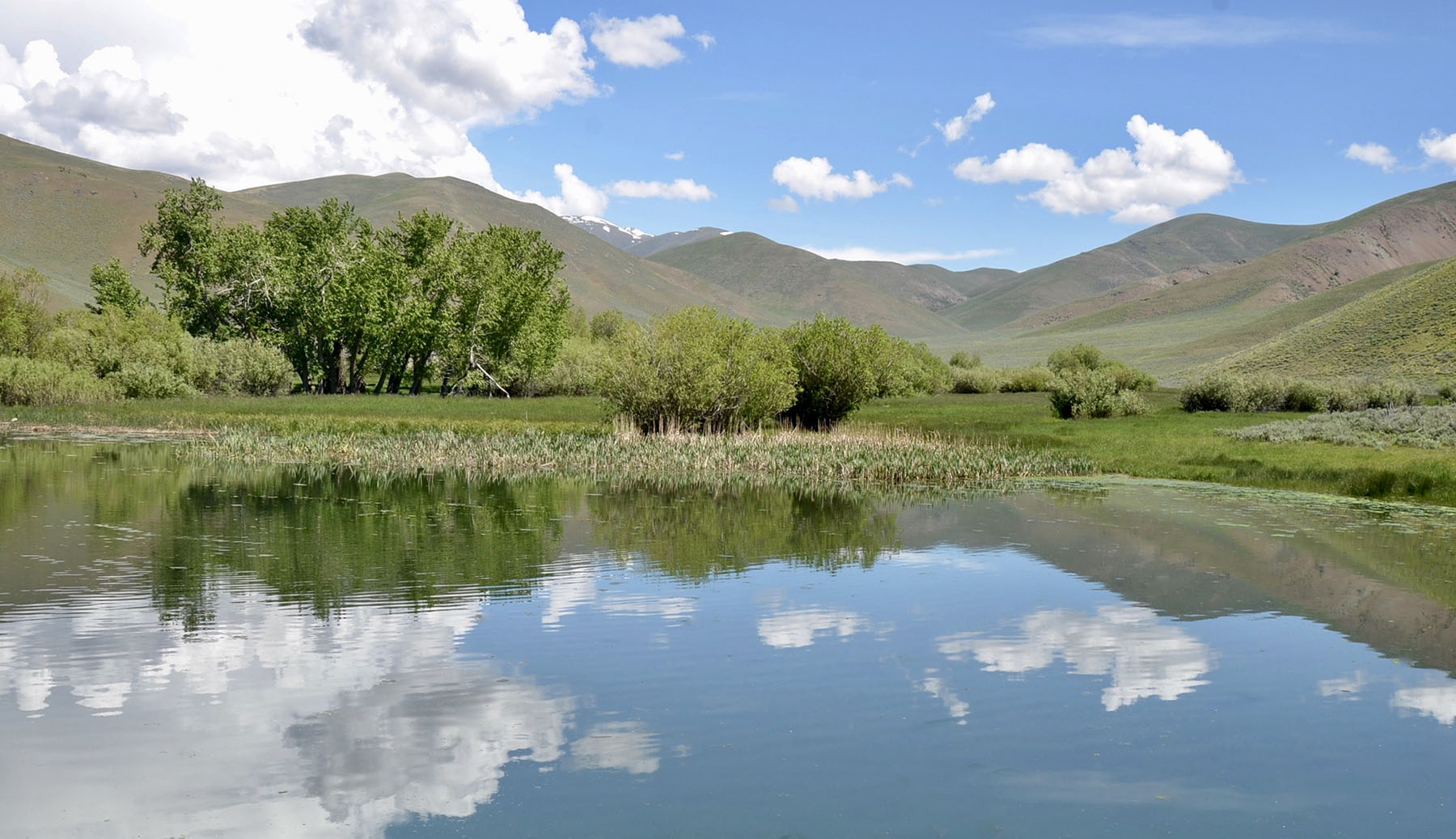 Lava Lake Ranch For Sale Idaho Hall and Hall