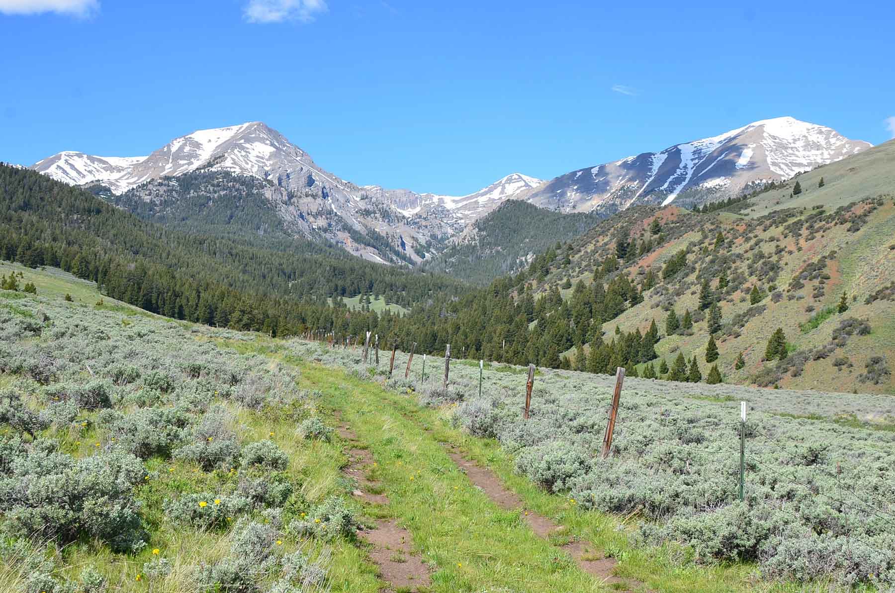 Wet Creek Ranch property picture 9 of 73