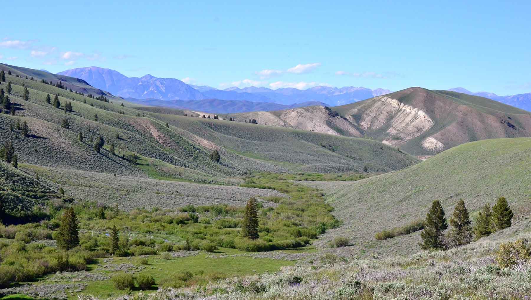 Wet Creek Ranch property picture 65 of 73