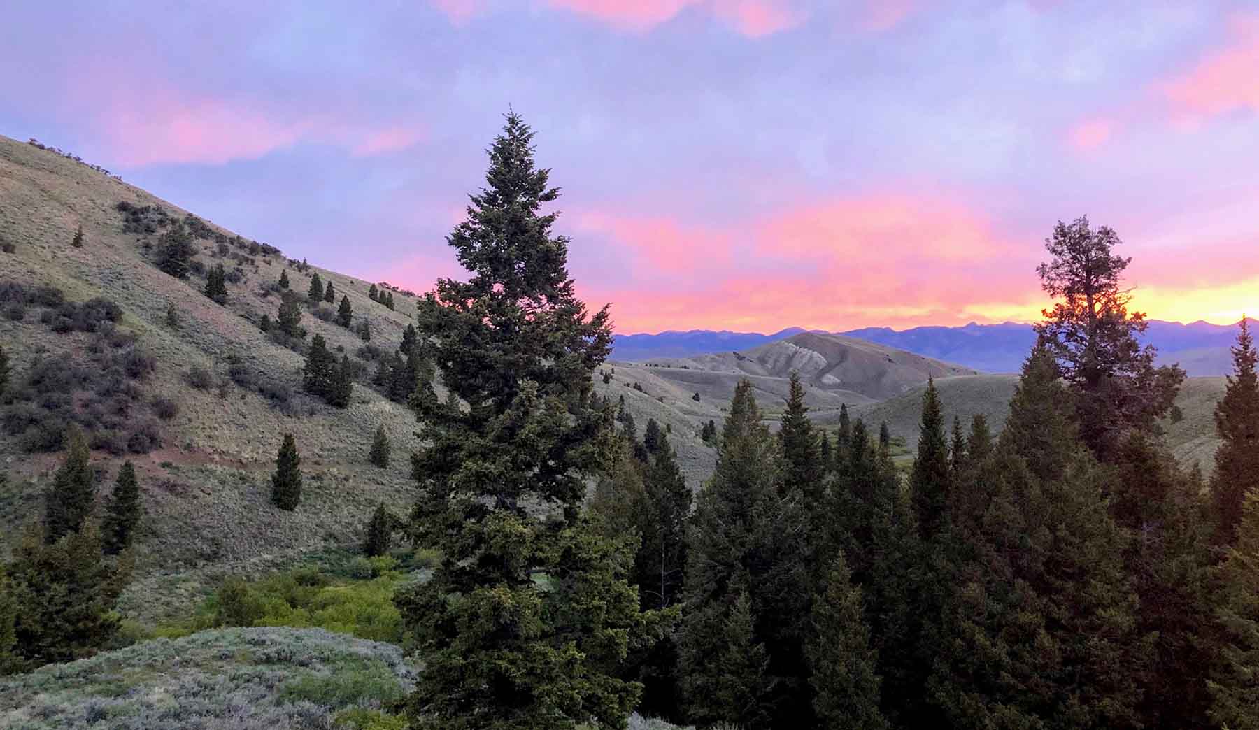 Wet Creek Ranch property picture 72 of 73