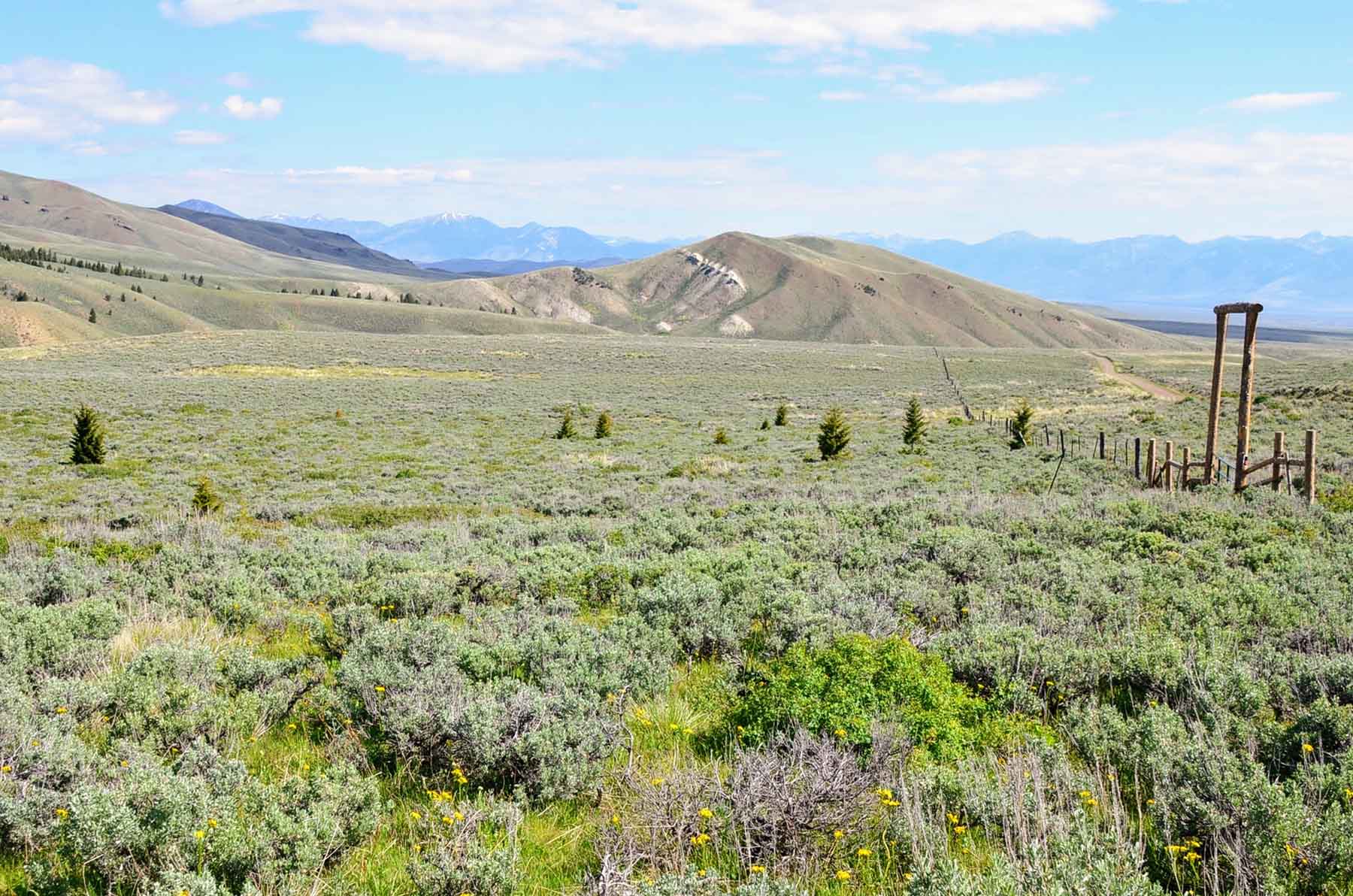 Wet Creek Ranch property picture 10 of 73