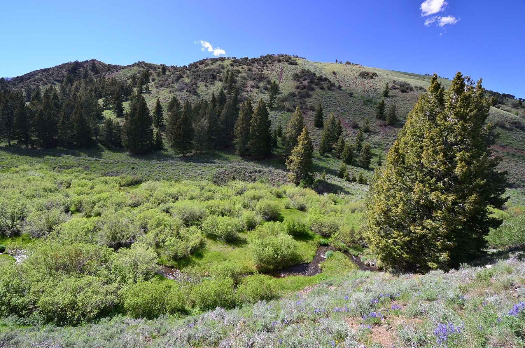 Wet Creek Ranch property picture 66 of 73