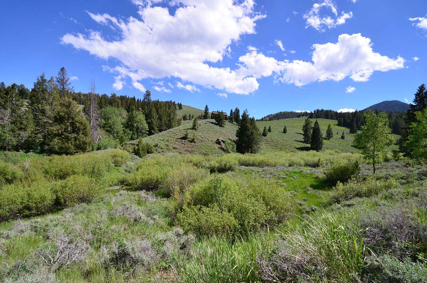 Wet Creek Ranch property picture 62 of 73