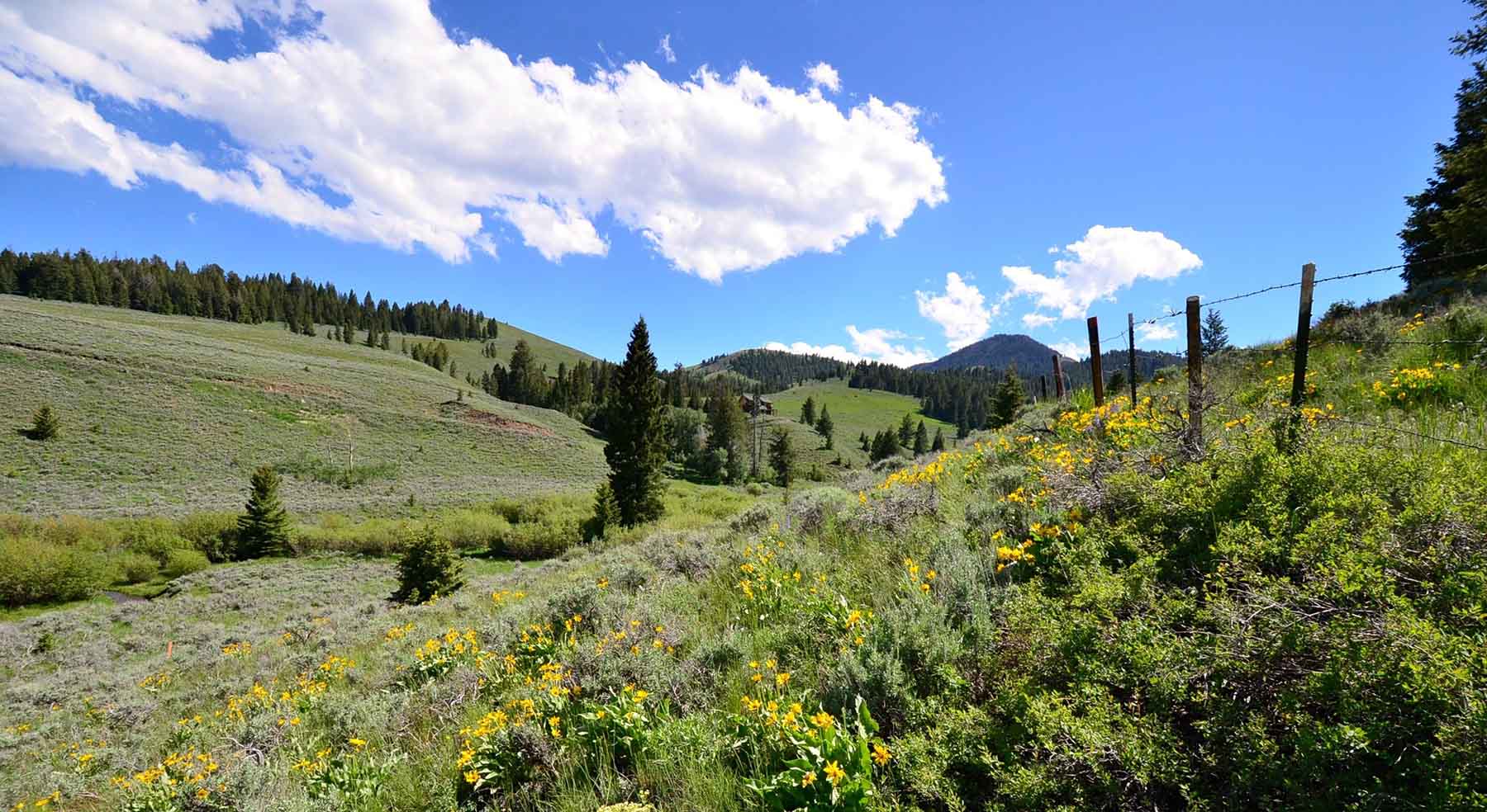 Wet Creek Ranch property picture 59 of 73