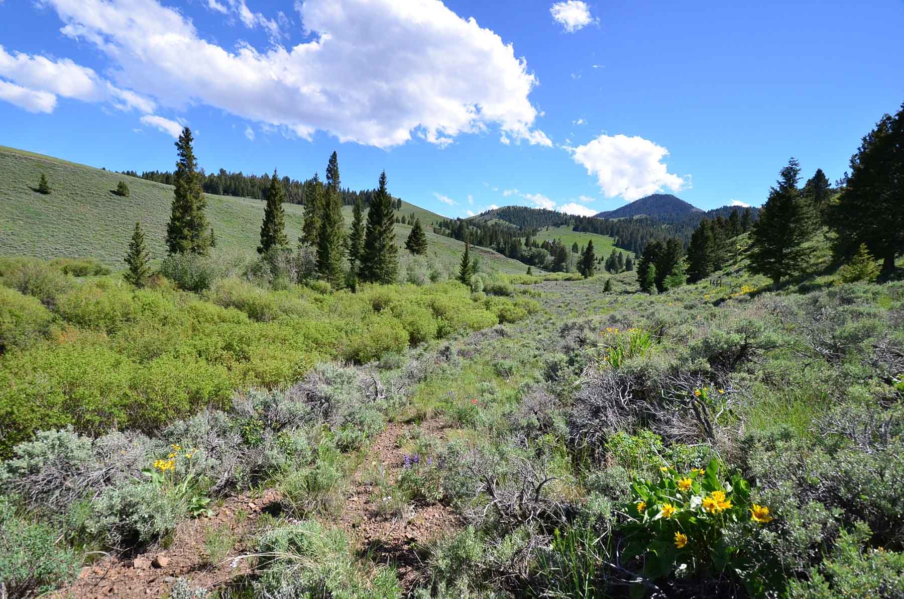 Wet Creek Ranch property picture 63 of 73