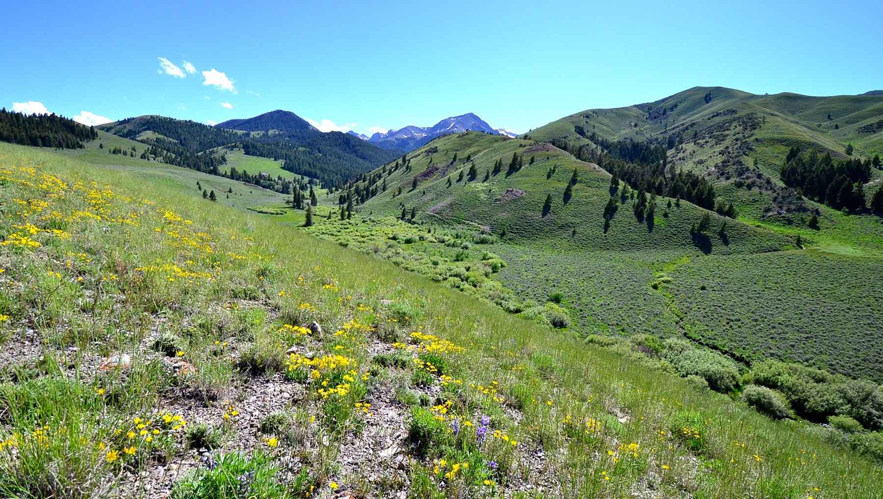 Wet Creek Ranch property picture 69 of 73