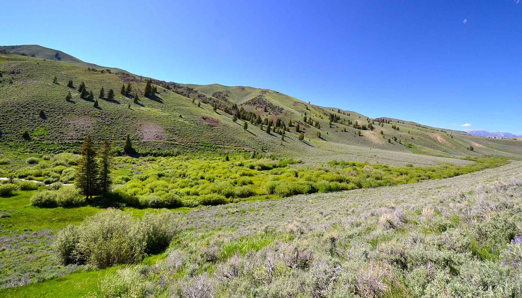 Wet Creek Ranch property picture 57 of 73