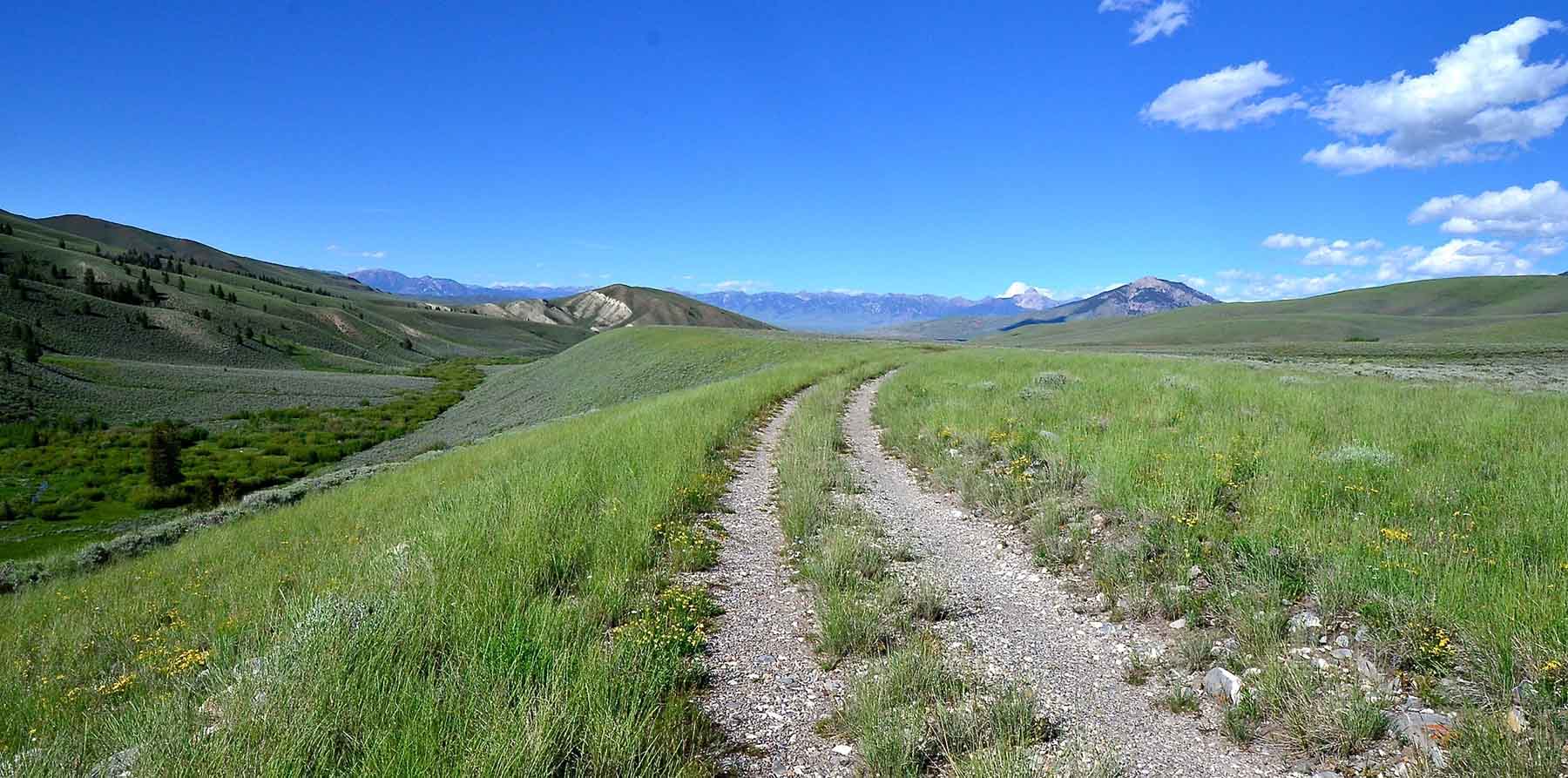 Wet Creek Ranch property picture 64 of 73