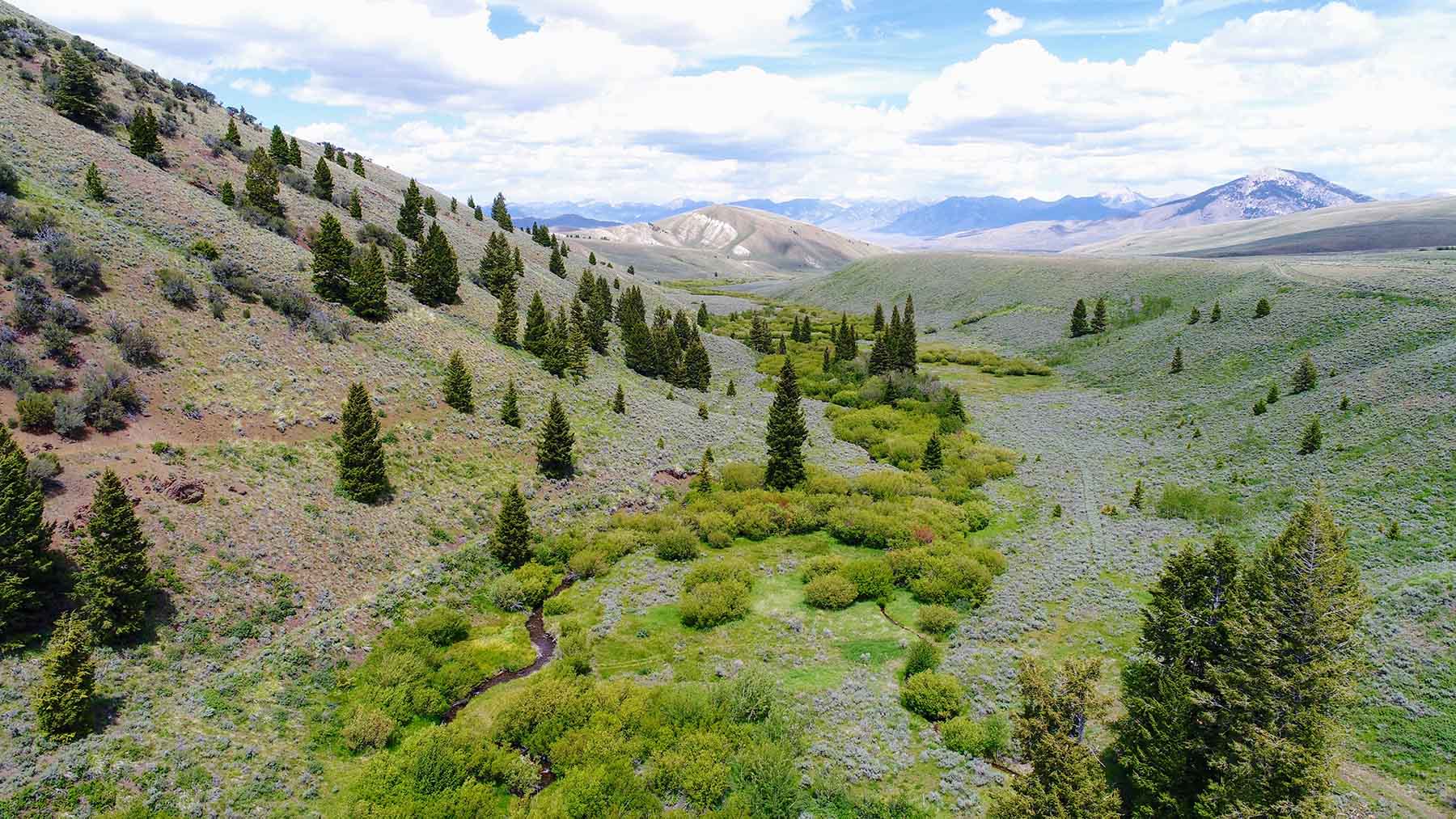 Wet Creek Ranch property picture 70 of 73