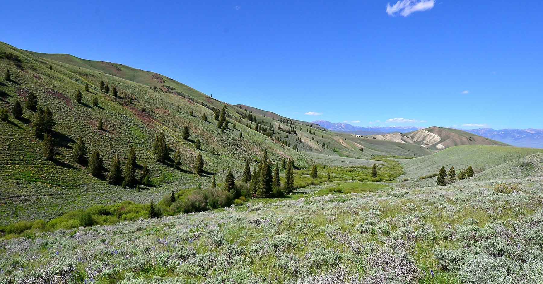 Wet Creek Ranch property picture 61 of 73