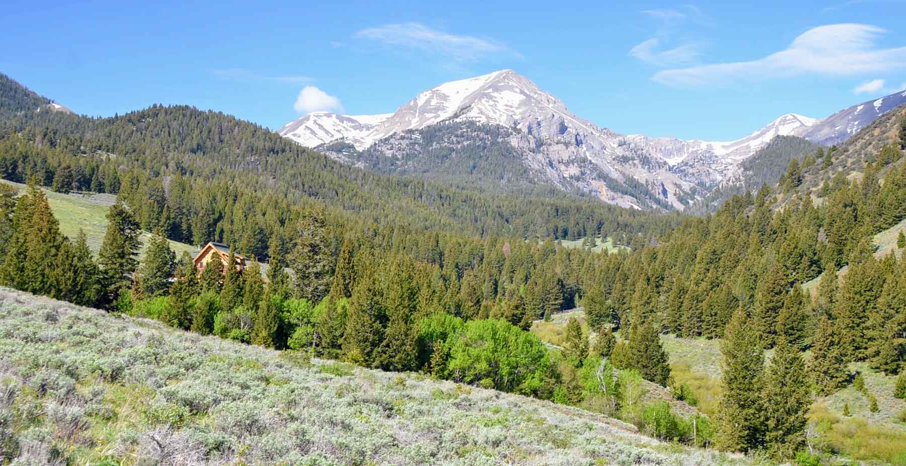 Wet Creek Ranch property picture 7 of 73