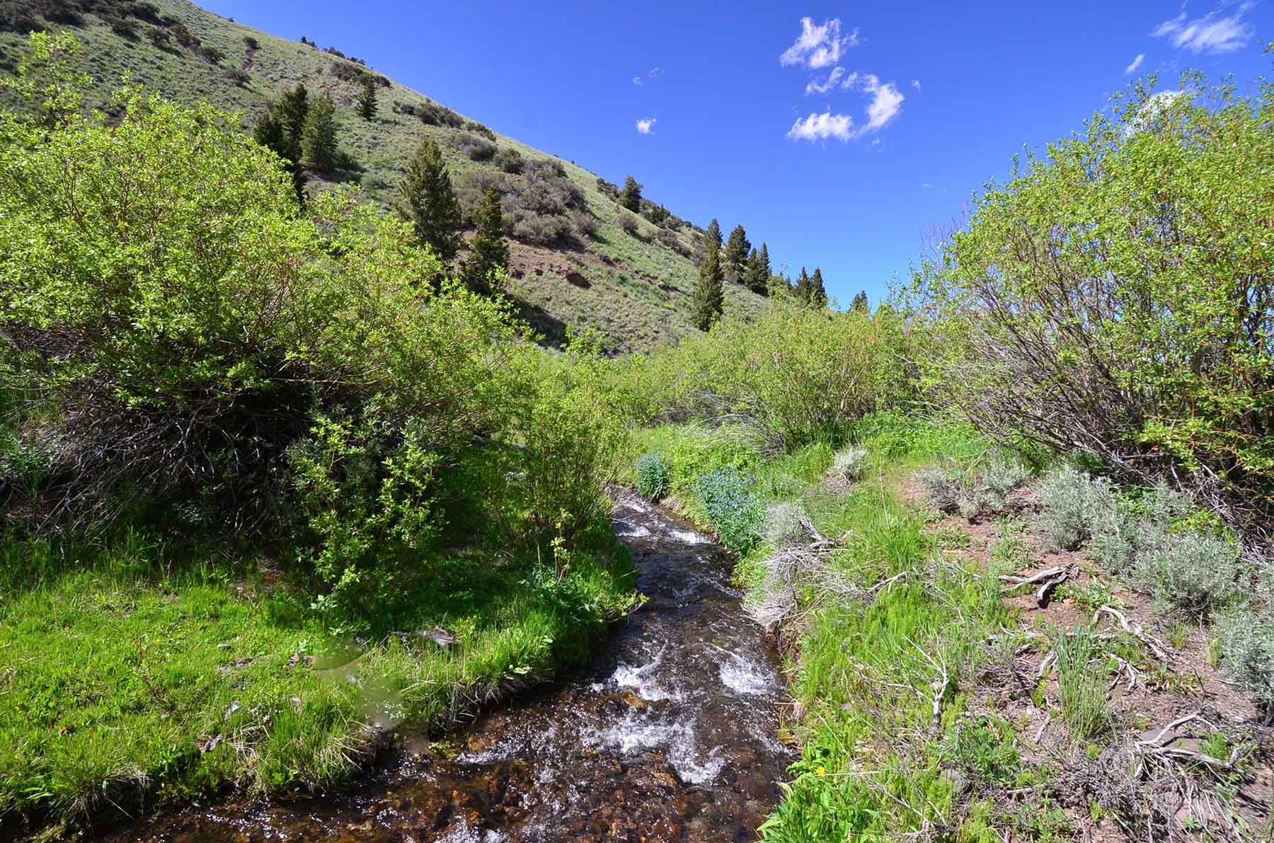 Wet Creek Ranch property picture 56 of 73