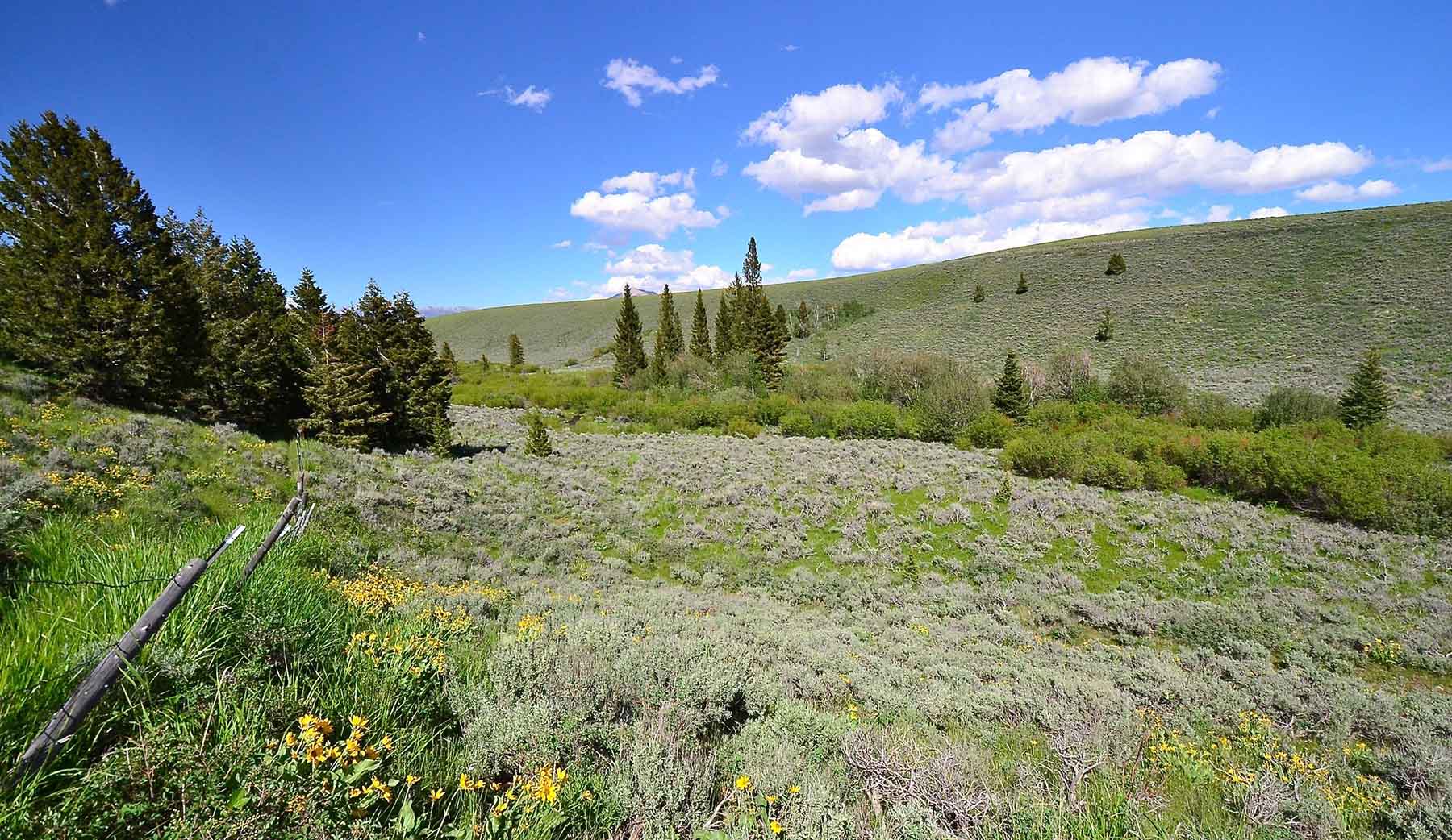 Wet Creek Ranch property picture 58 of 73