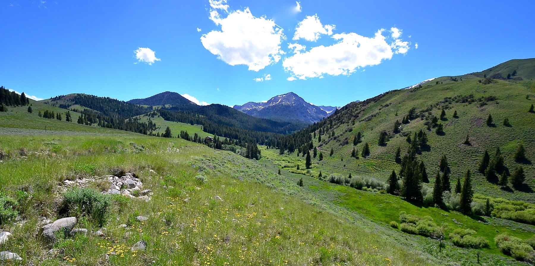 Wet Creek Ranch property picture 67 of 73