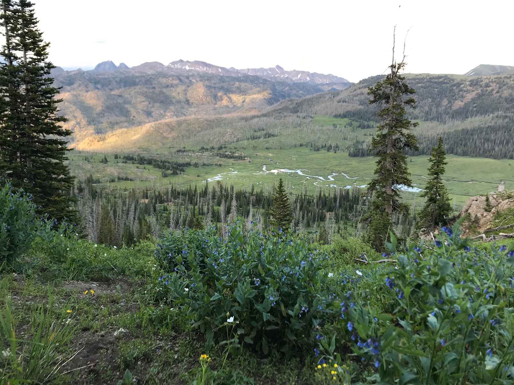 Keystone Lode 3036 property picture 2 of 30