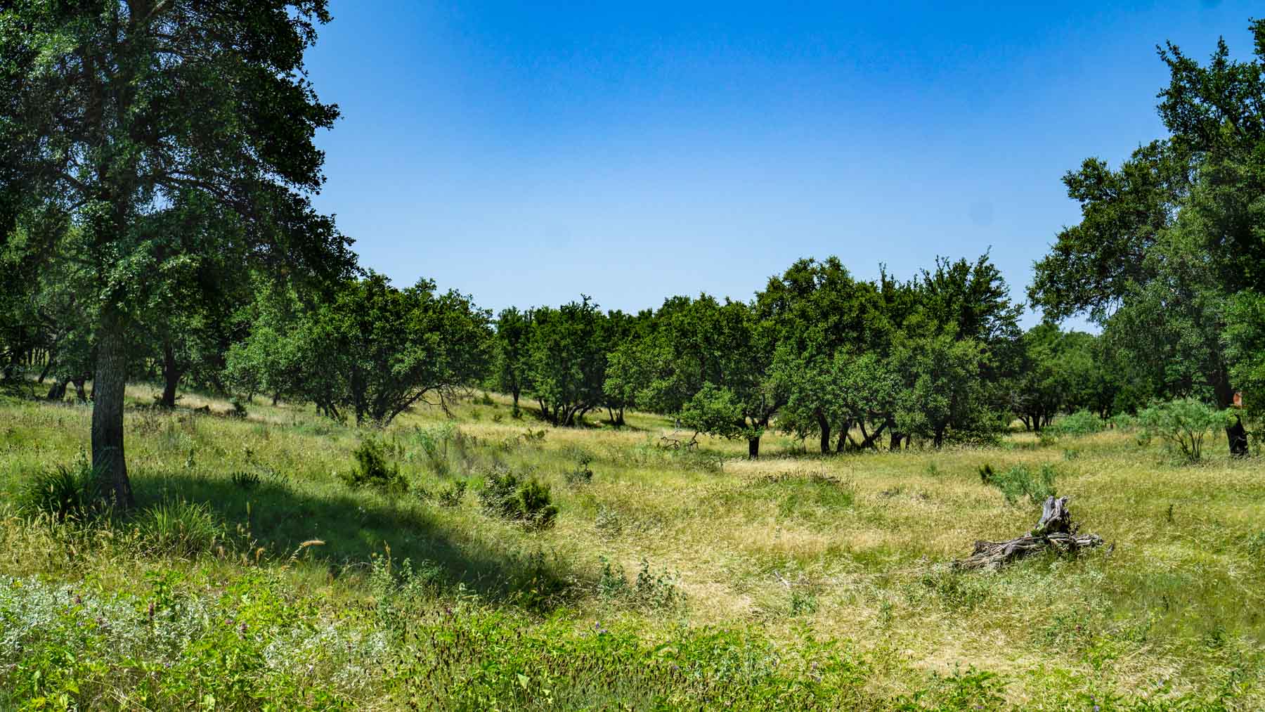 X-Mile Ranch property picture 12 of 36