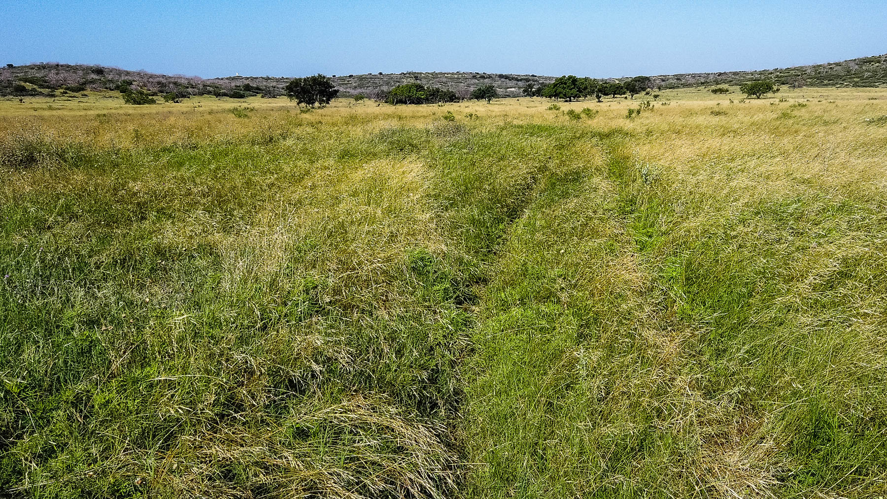 X-Mile Ranch property picture 24 of 36