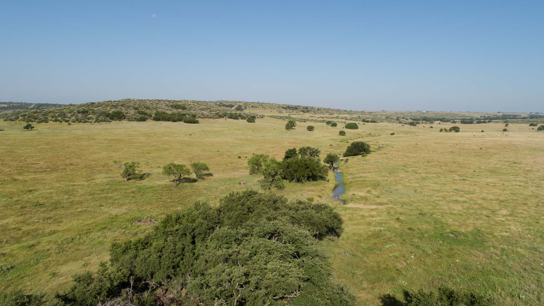 X-Mile Ranch property picture 36 of 36