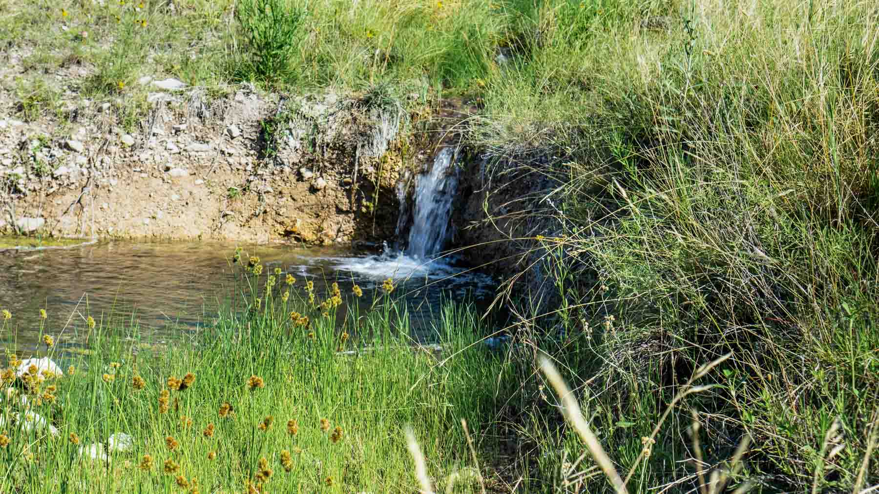 X-Mile Ranch property picture 11 of 36