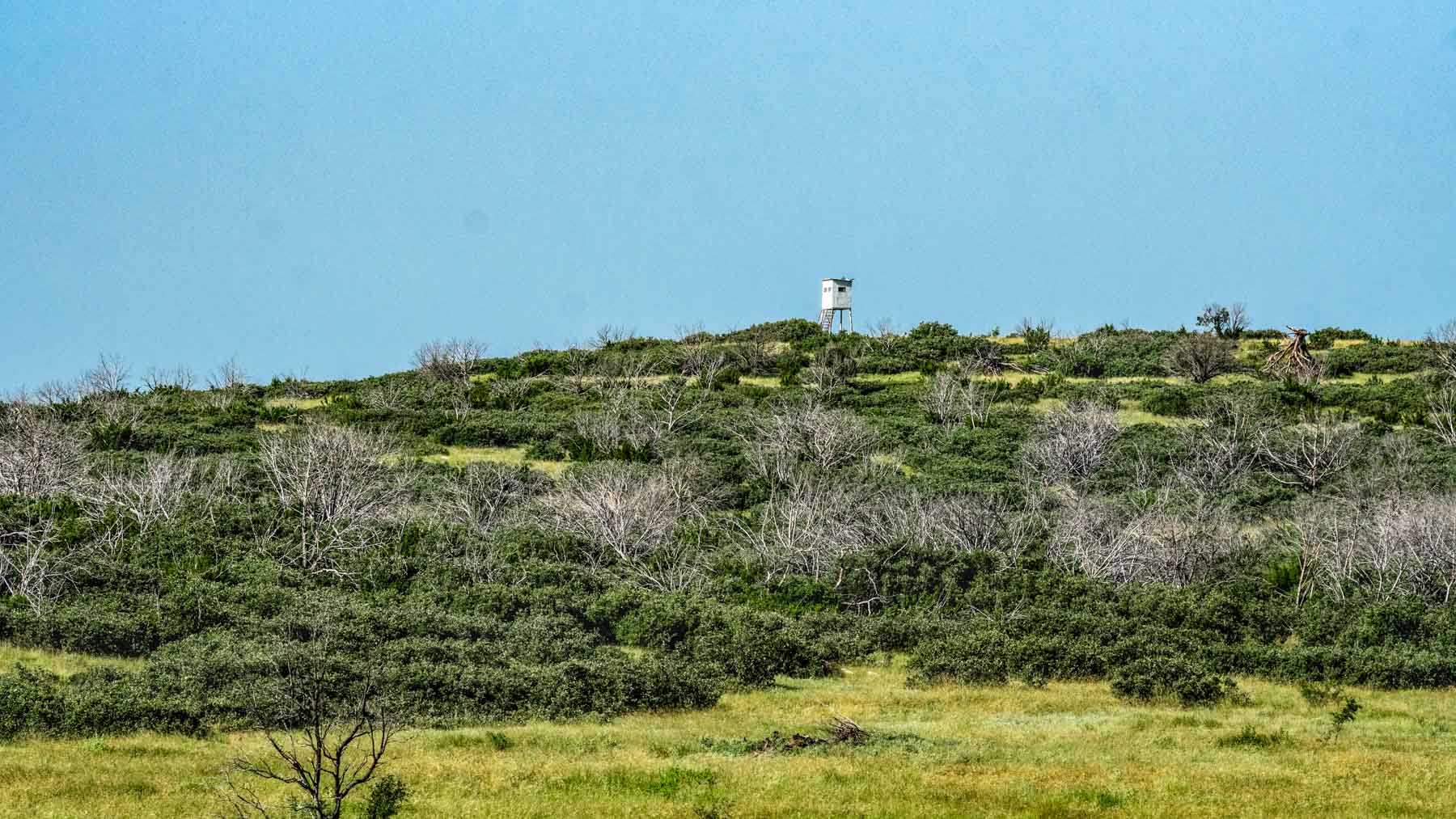 X-Mile Ranch property picture 21 of 36