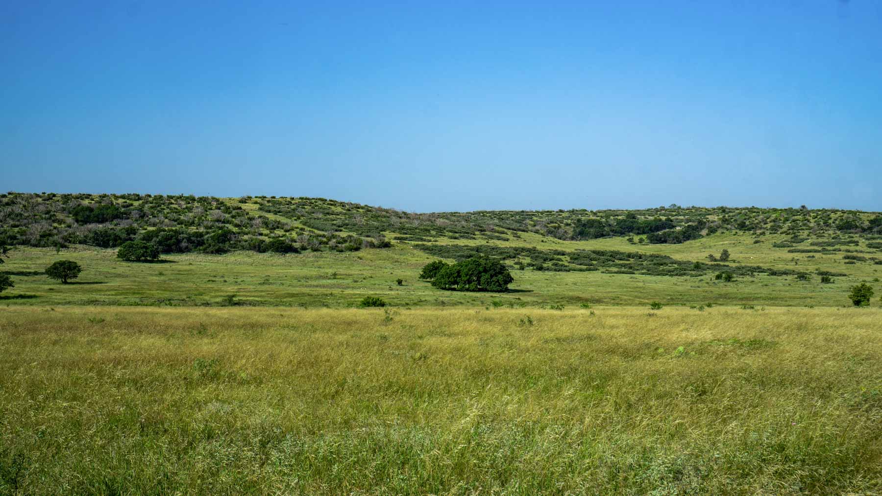 X-Mile Ranch property picture 29 of 36