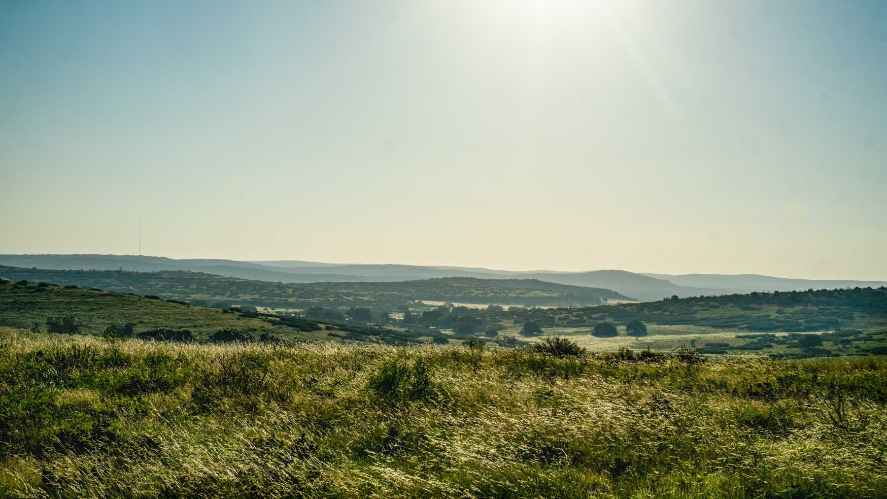 X-Mile Ranch property picture 17 of 36