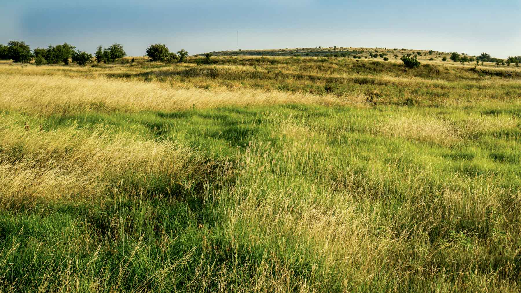 X-Mile Ranch property picture 16 of 36