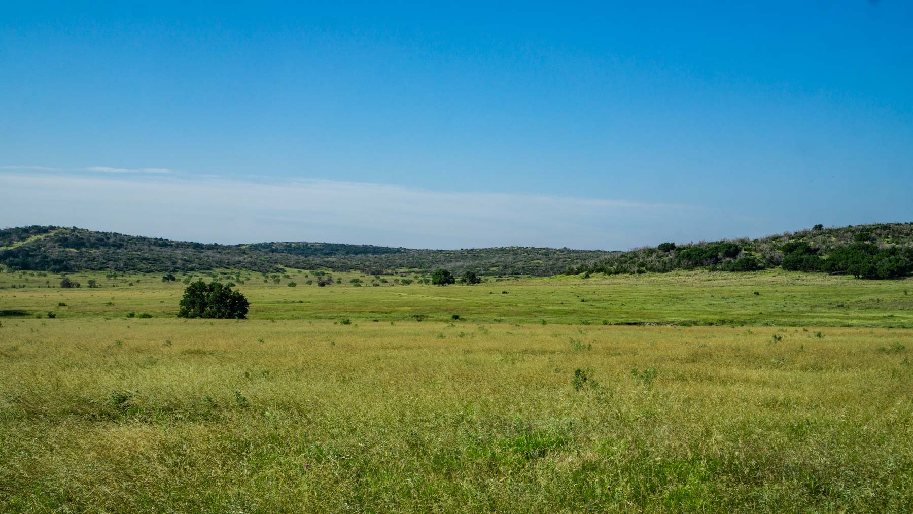 X-Mile Ranch property picture 18 of 36