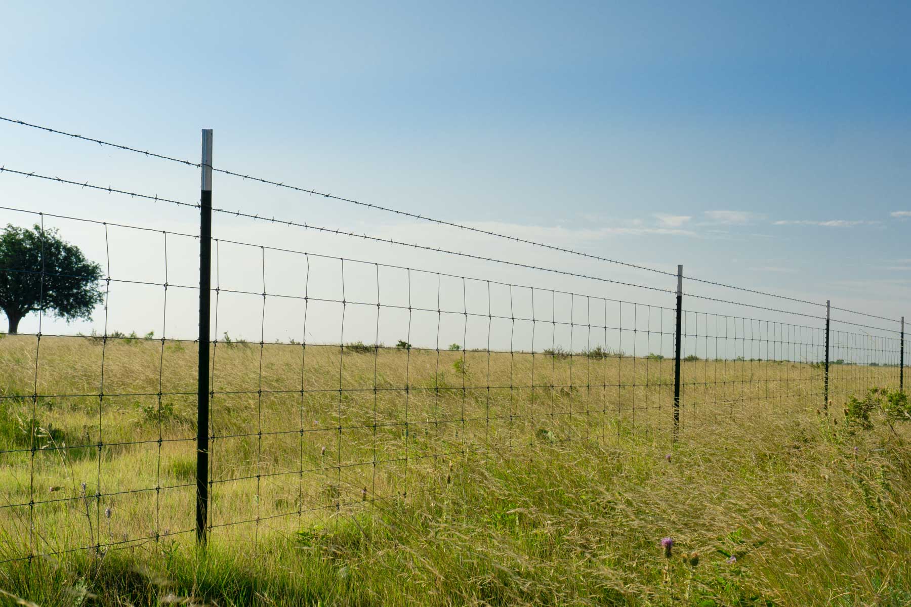 X-Mile Ranch property picture 9 of 36