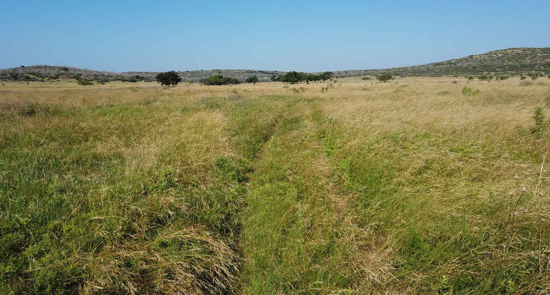 X-Mile Ranch property picture 34 of 36