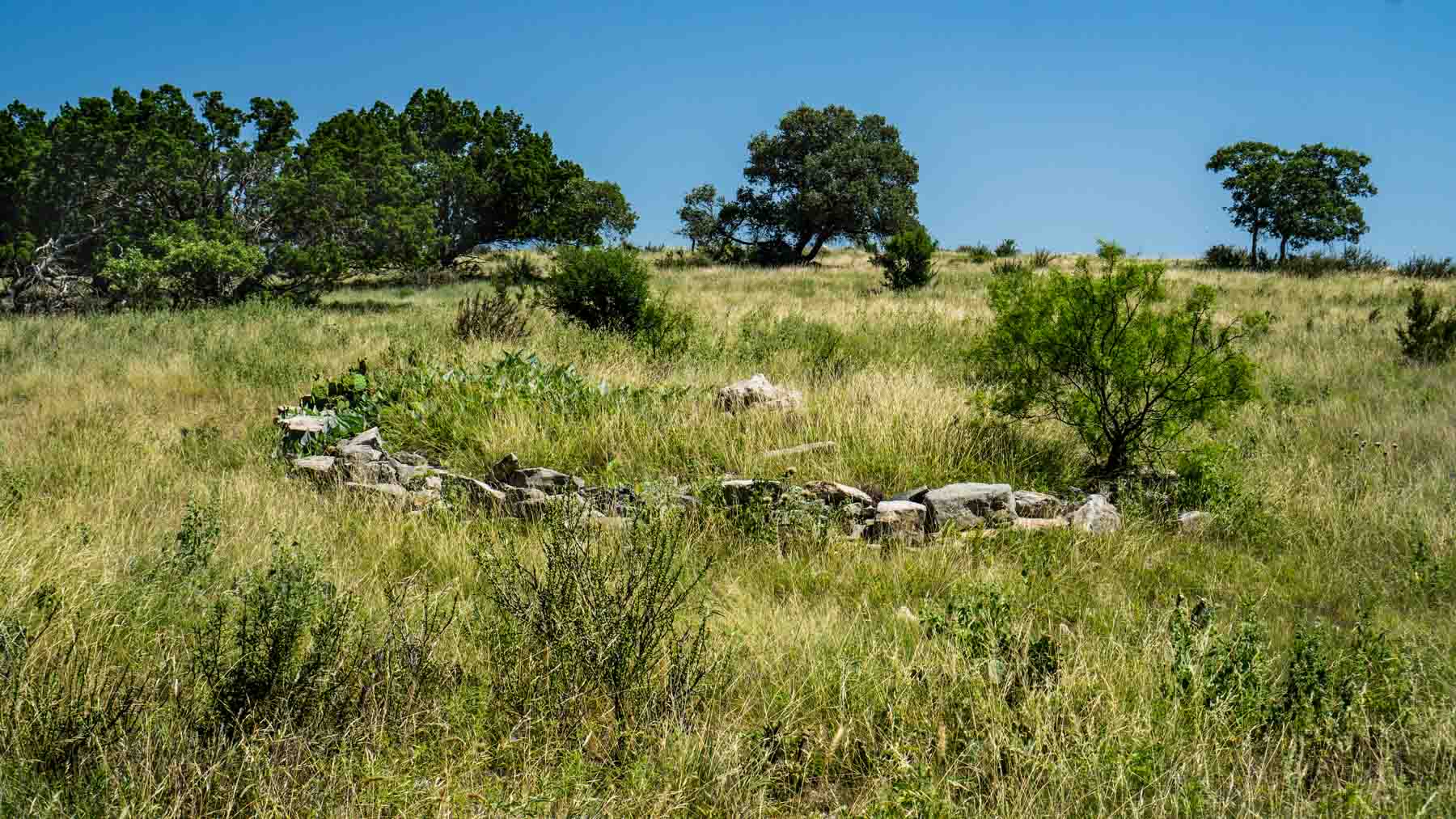 X-Mile Ranch property picture 19 of 36