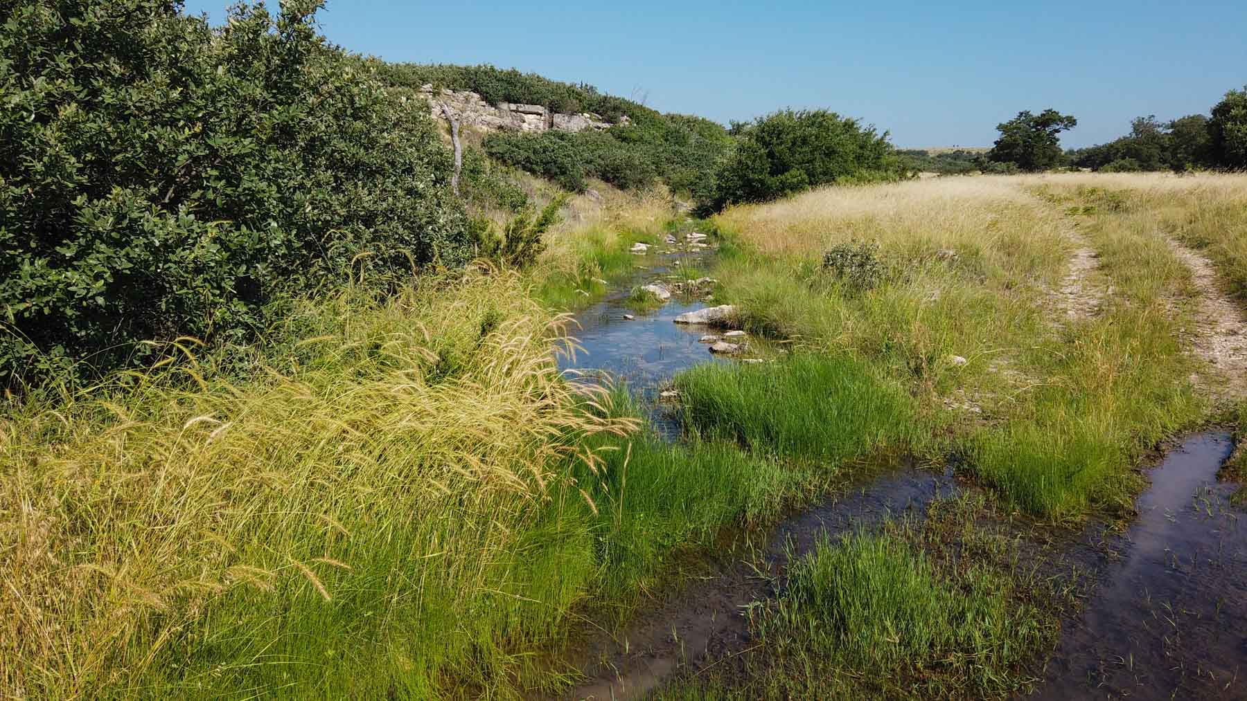 X-Mile Ranch property picture 23 of 36