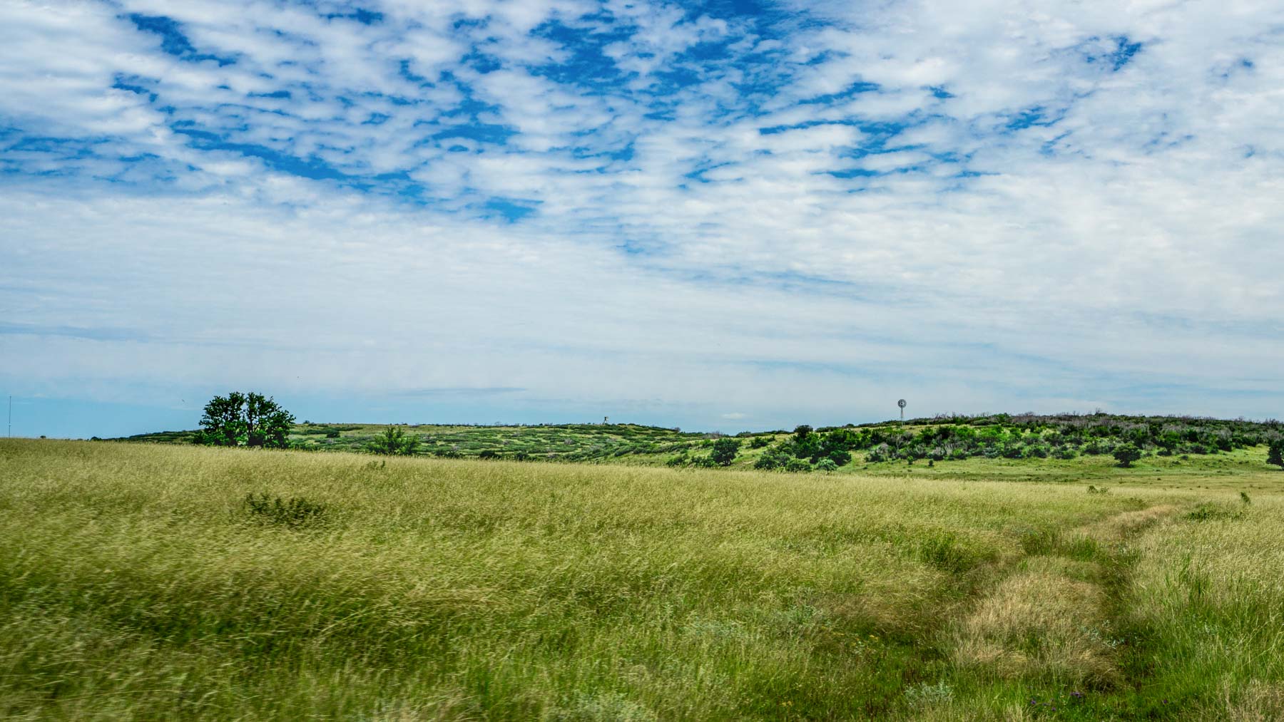 X-Mile Ranch property picture 7 of 36