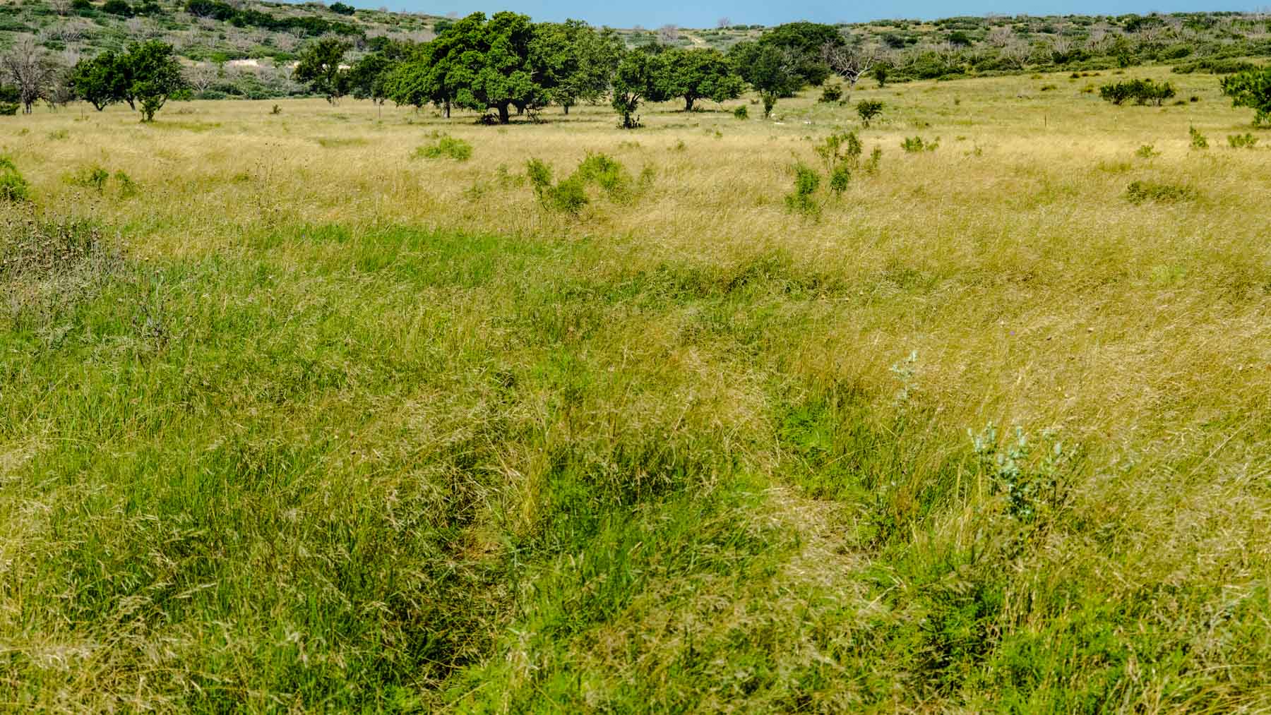 X-Mile Ranch property picture 20 of 36