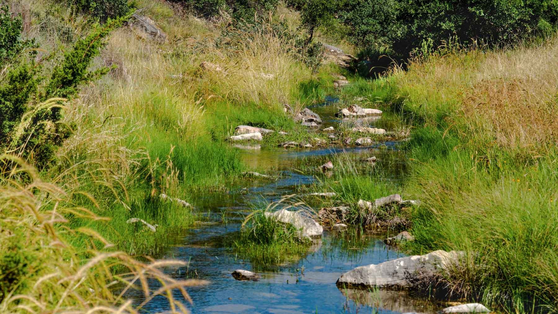 X-Mile Ranch property picture 10 of 36